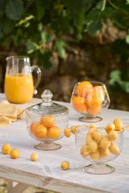 L'ambiance comptoir de famille